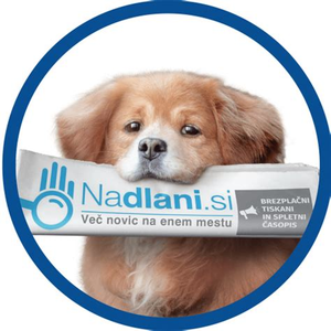 NaDlani Auto